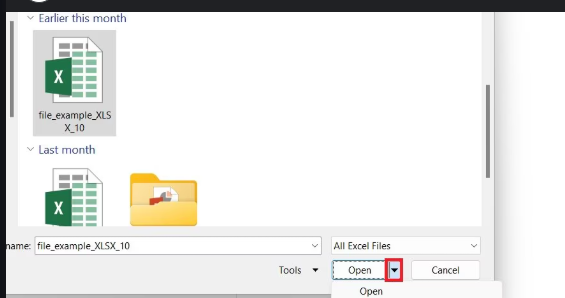 apre il file XLSX
