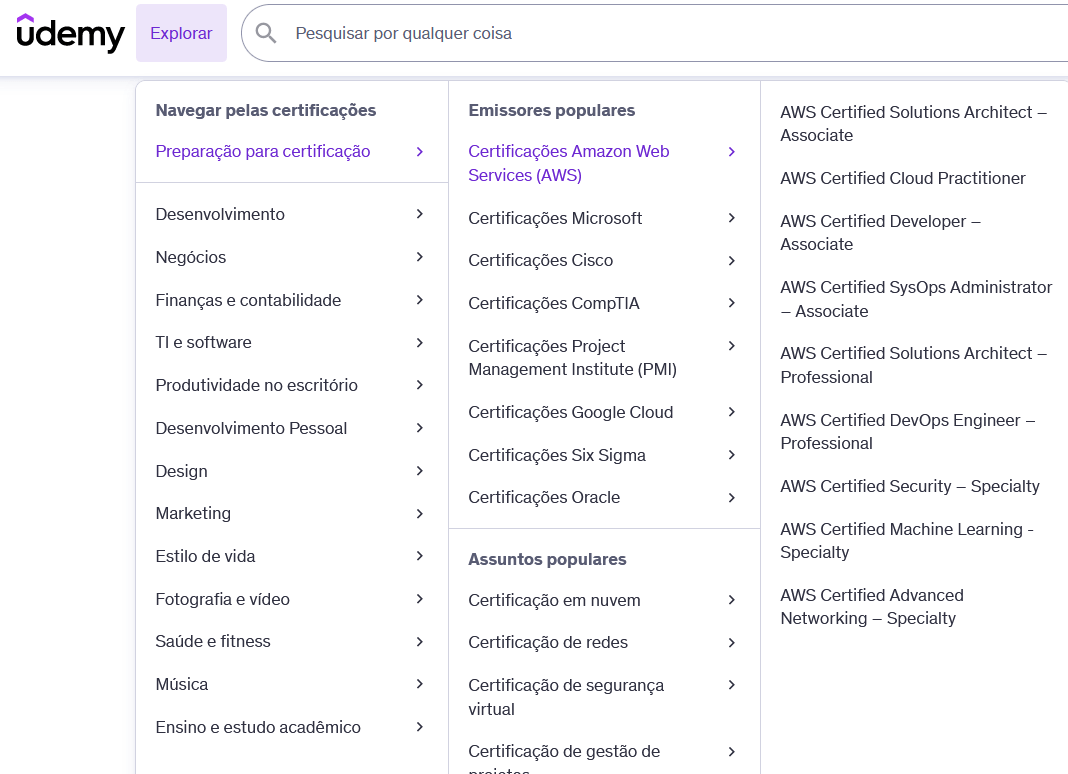 opções de temas na Udemy