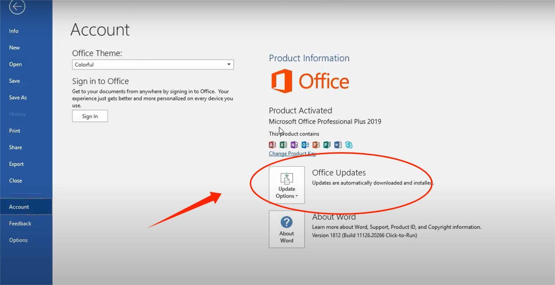  Tampilan fitur Update Otomatis di Microsoft Word