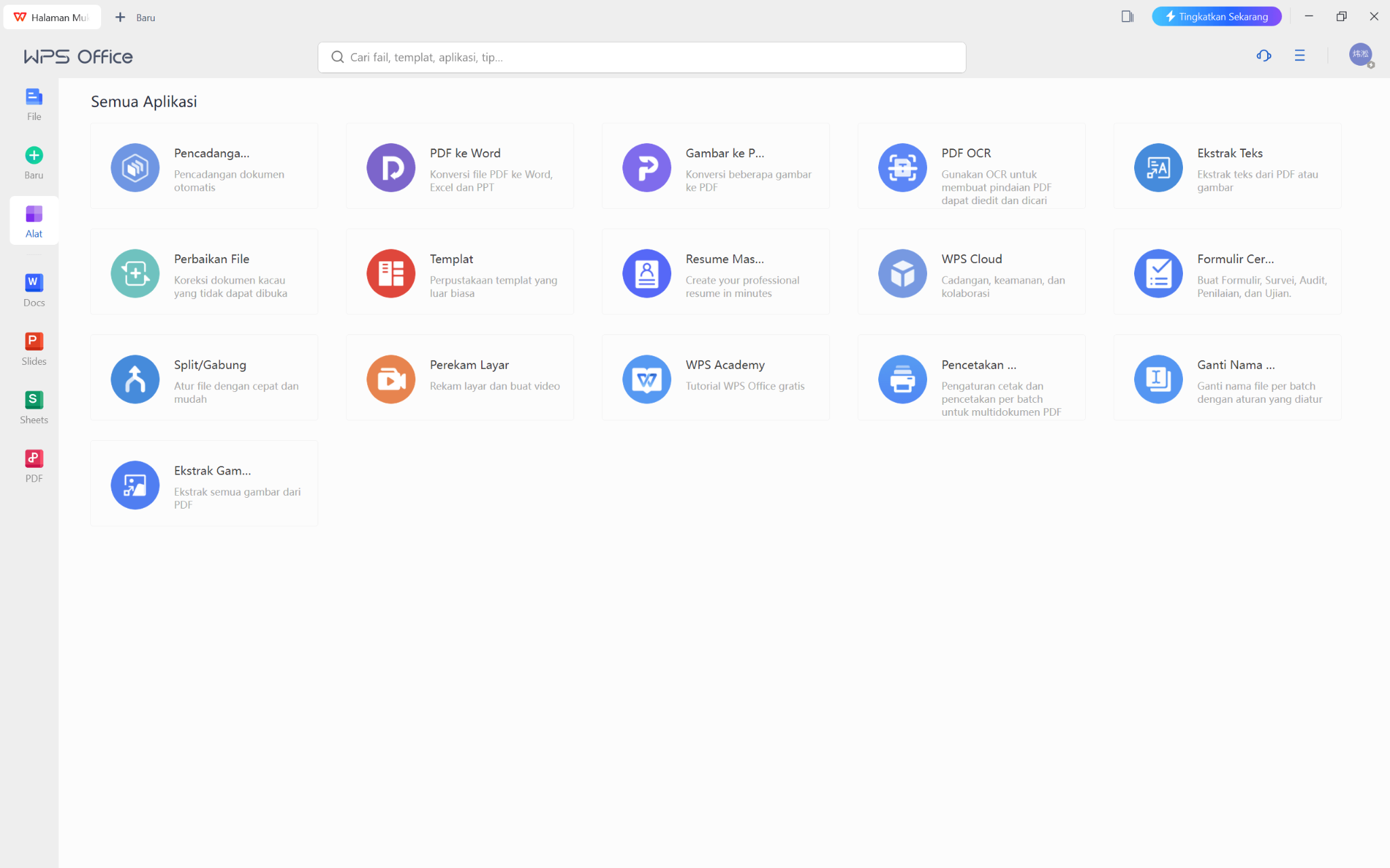 Antarmuka pengguna WPS