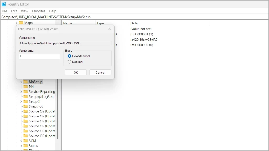 Double-click the newly created DWORD and set the value to 1. Make sure the base is set to Hexadecimal.