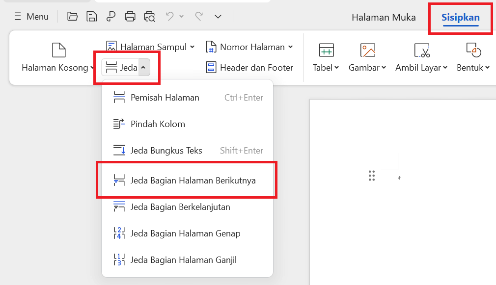 Opsi Section Break - Next Page