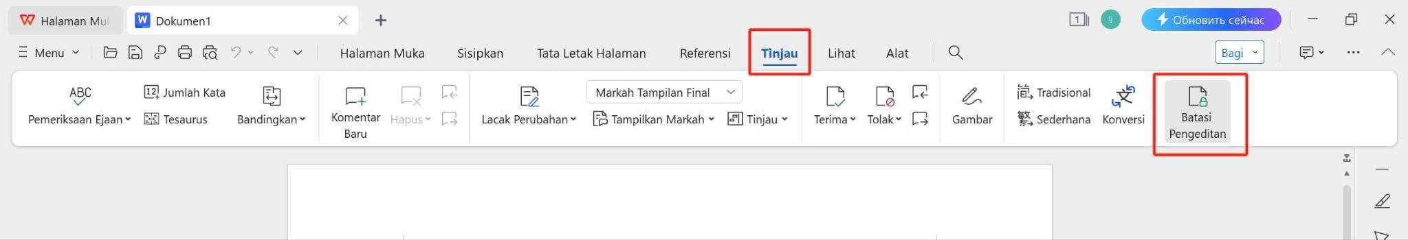  Batasi fitur Pengeditan di WPS Office
