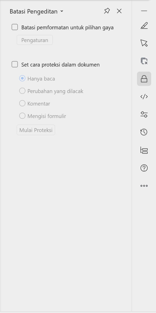 Panel Pembatasan Pengeditan WPS Office