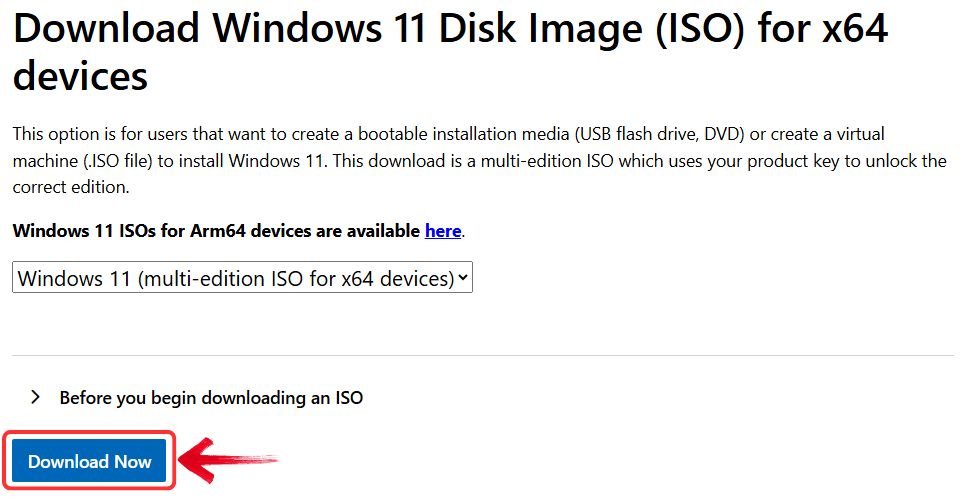 Confirm iso download