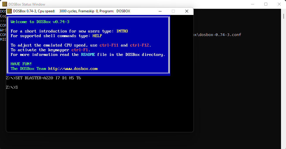 DOSBox interface