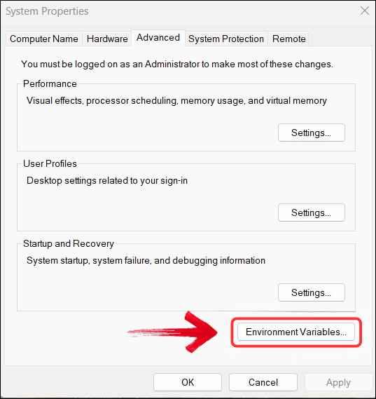Environment Variables Search