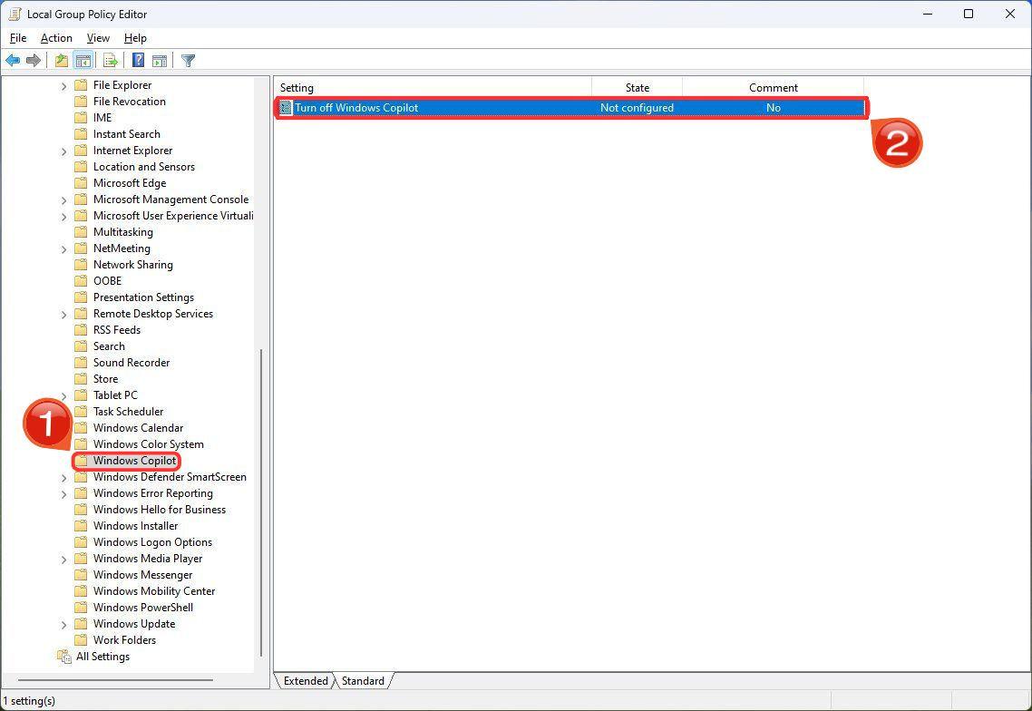 Windows Copilot Folder