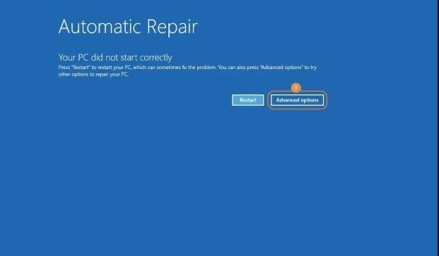 Automatic Repair Image