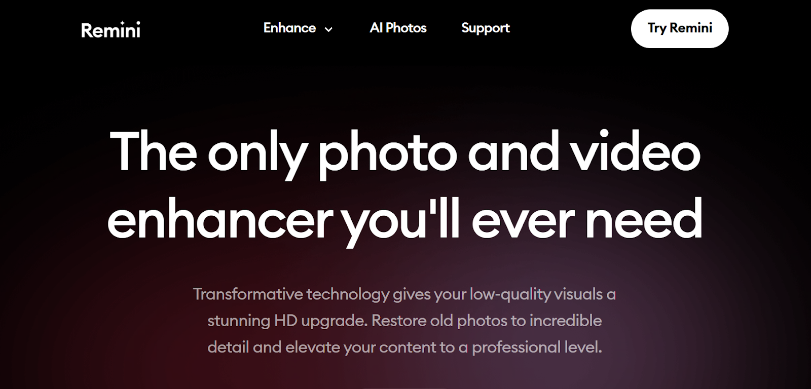 Remini Home-page
