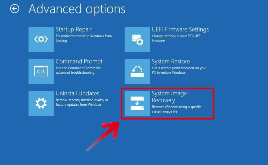 Advanced Recovery Options