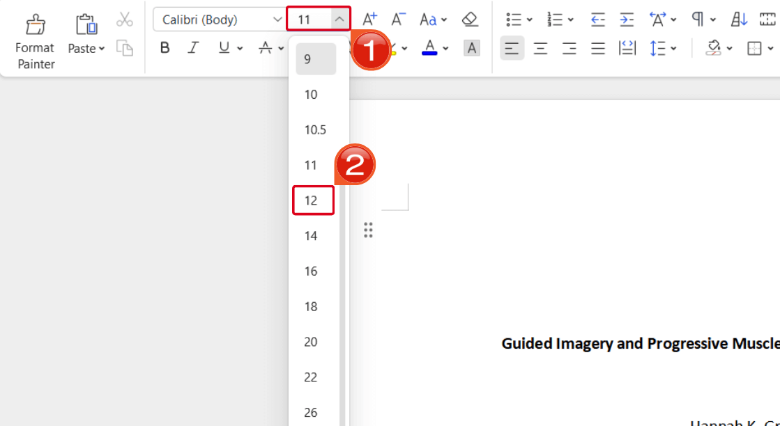 Font Size Selection Menu