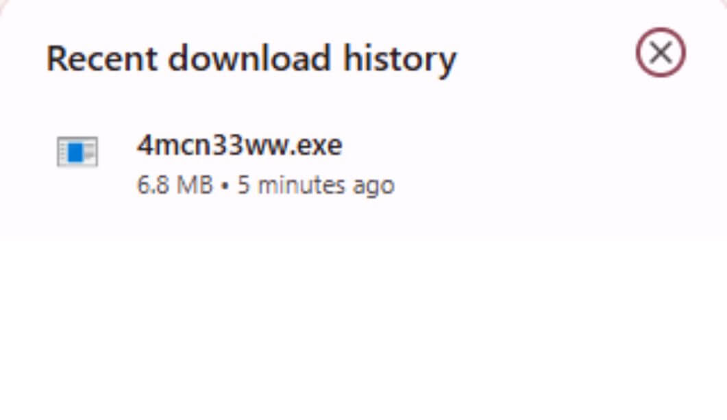 BIOS updates exe file