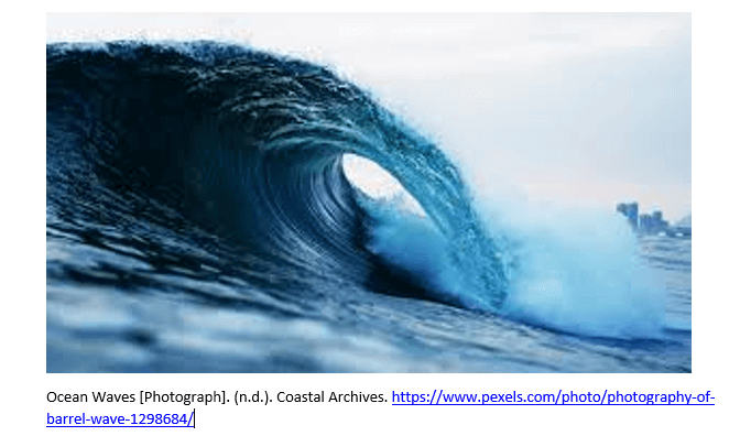 Citation of Pictures with Missing Information