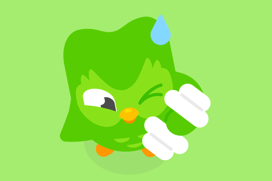 Duolingo vs Rosetta Stone:The Best Language Learning Tool