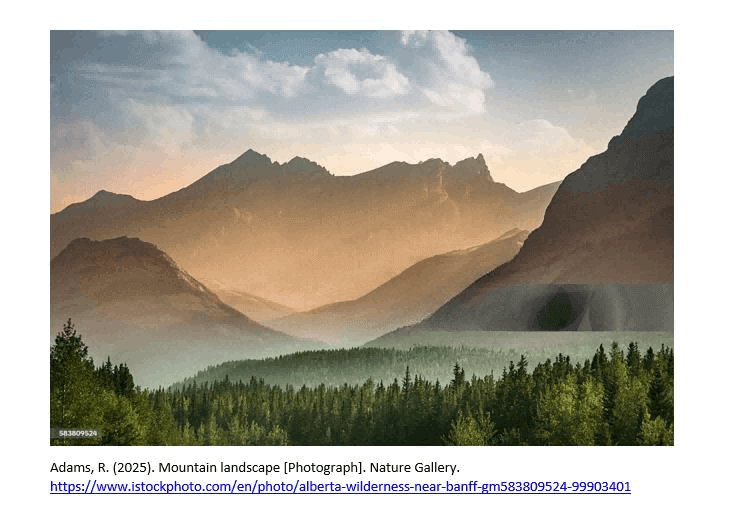 Citation of Online Pictures