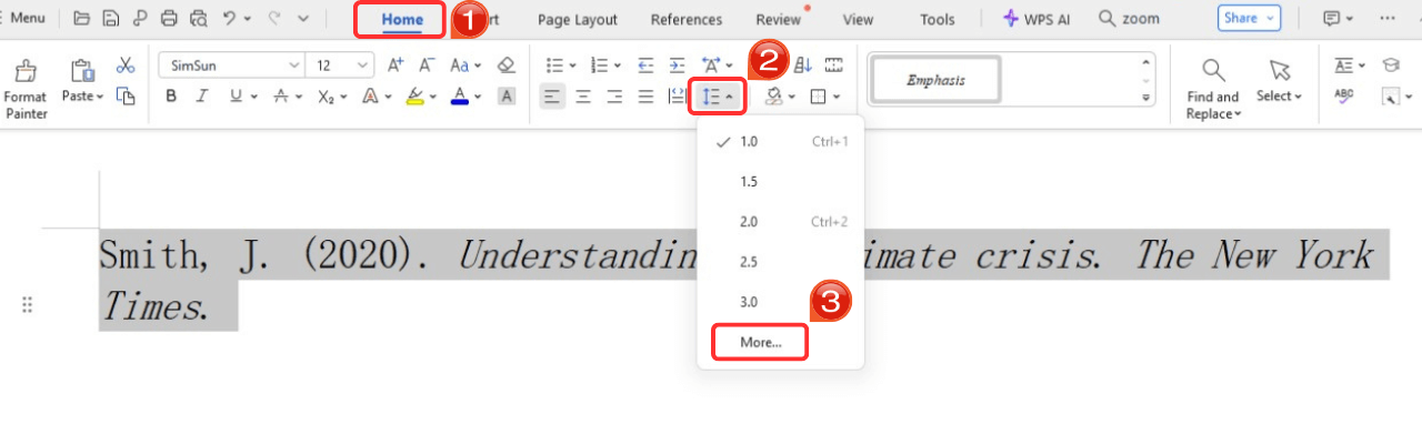 WPS Office Paragraph
