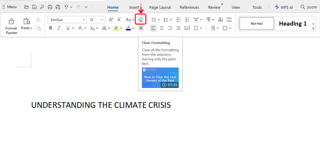 WPS Office Eraser Icon