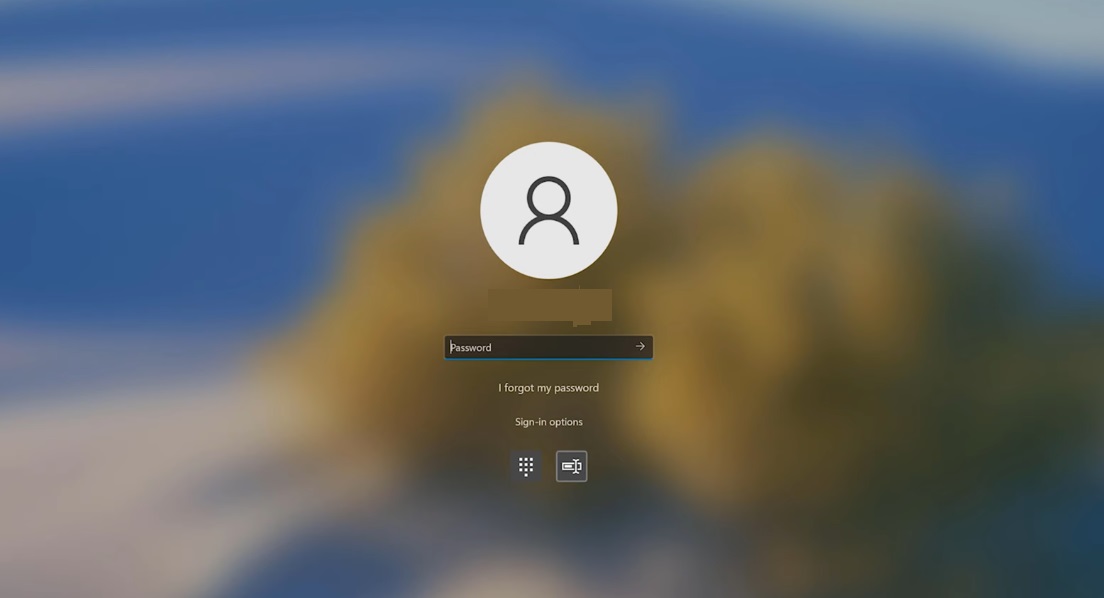 Log in with the new password