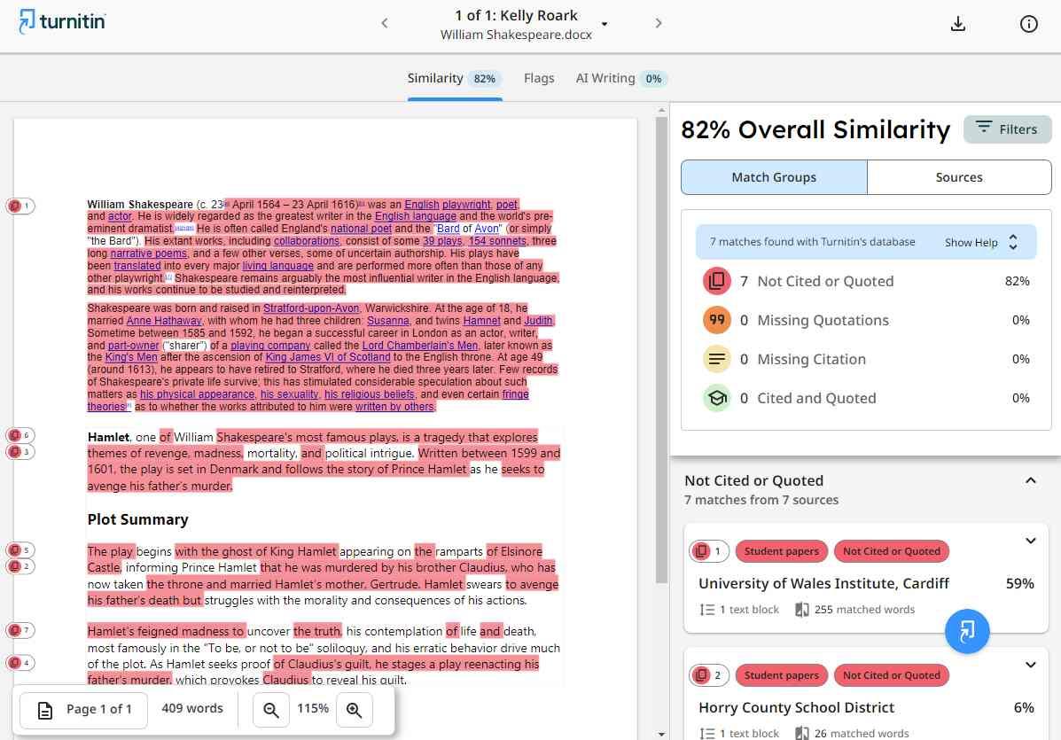 Turnitin Plagiarism Report