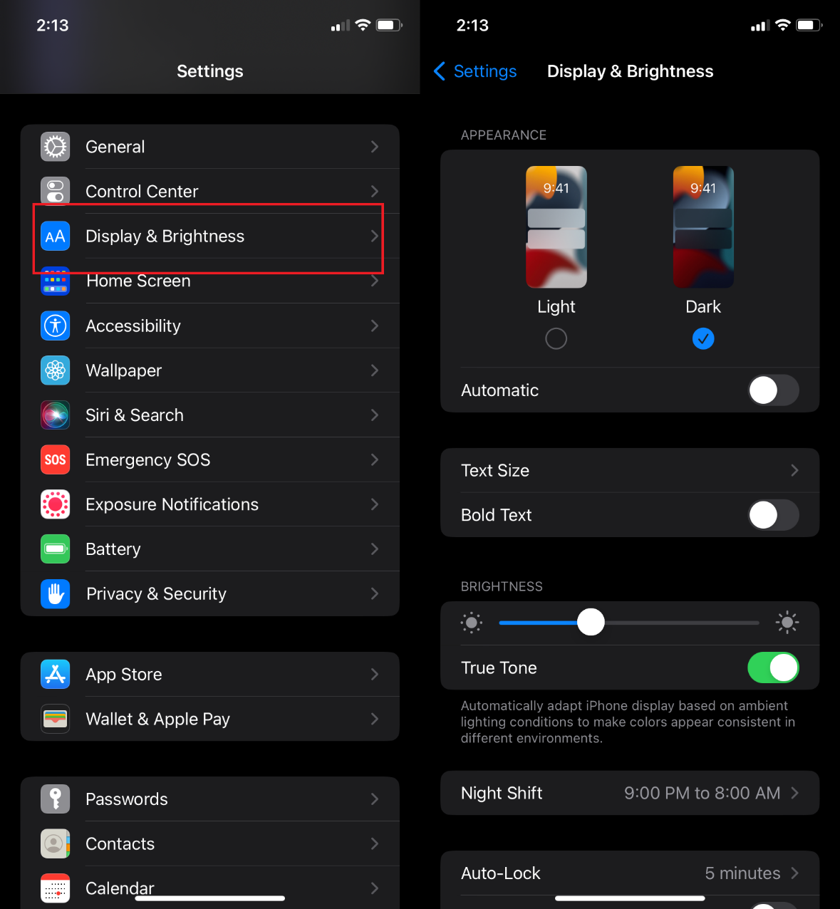 Duolingo dark mode iOS
