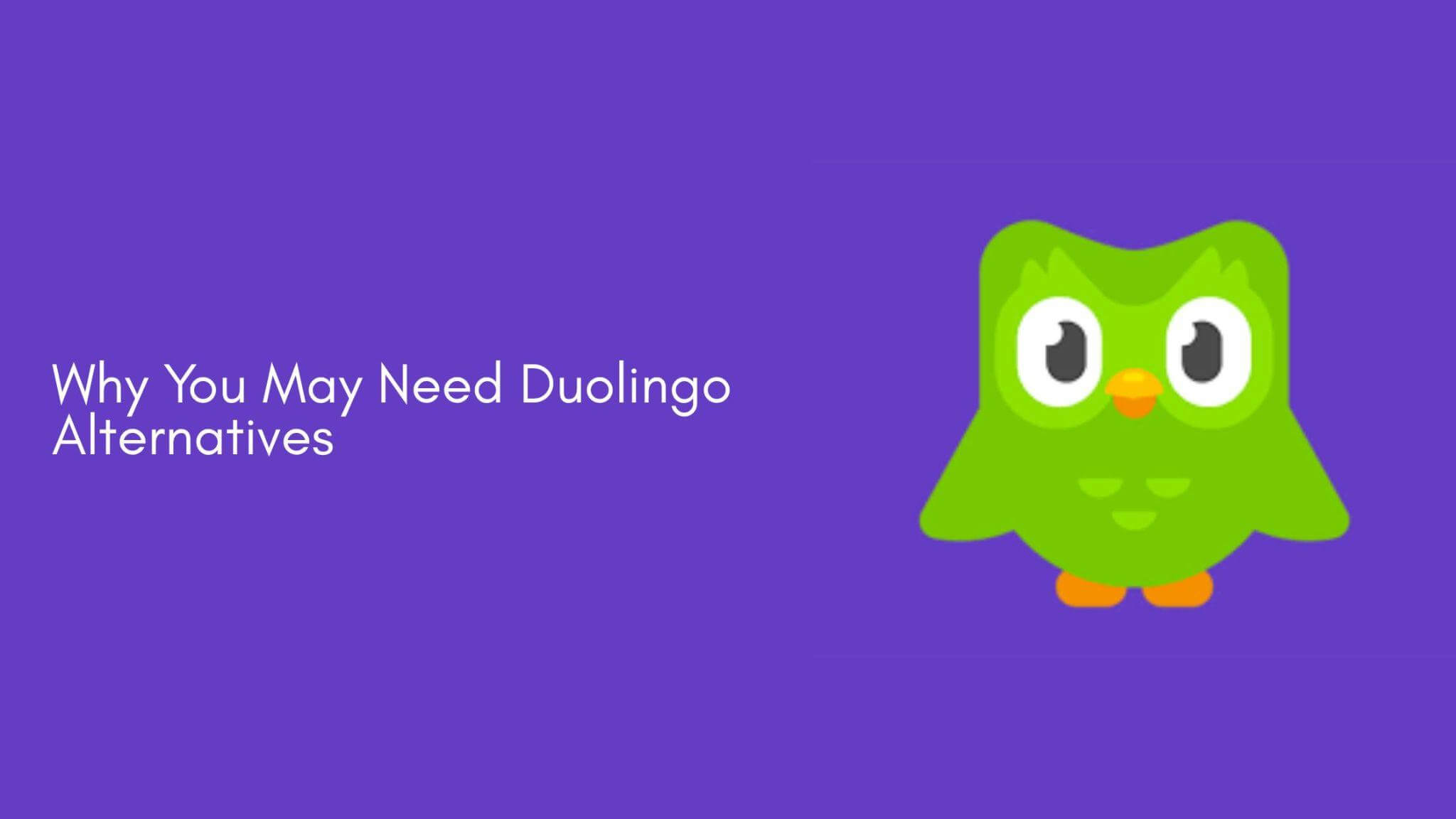 Why You May Need Duolingo Alternatives