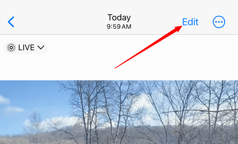  the Edit button