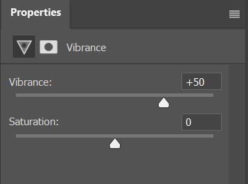 the Vibrance adjustment layer