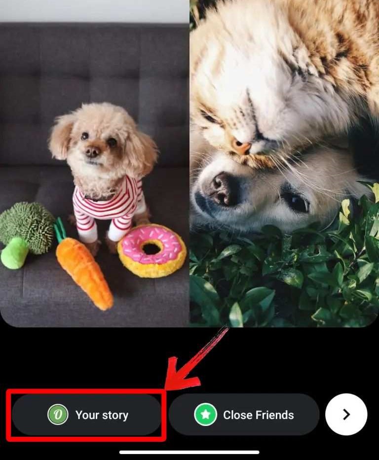  Upload Stories