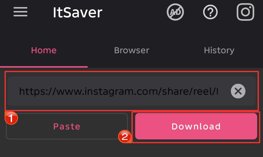  Paste link on the InstSaver app