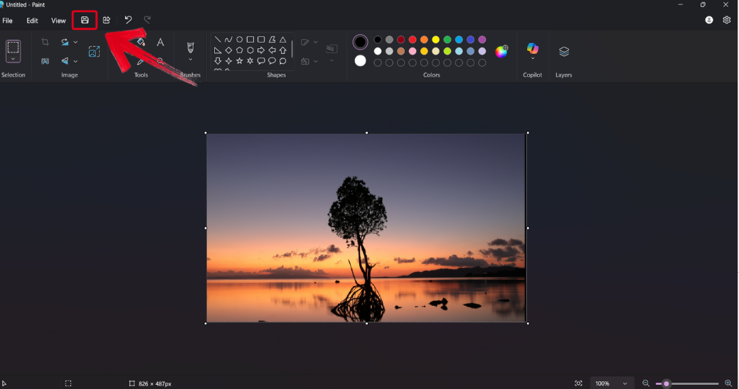 Saving Screenshot to Computer