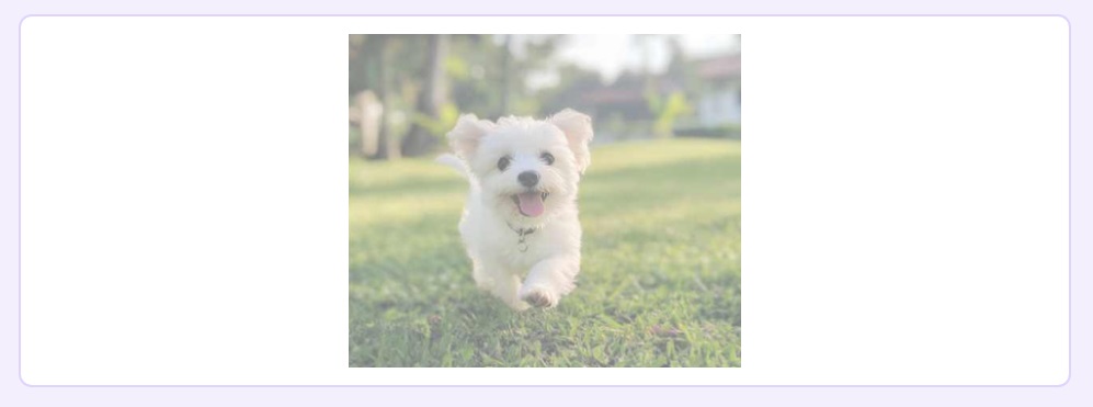 Toolmart's Image Processing