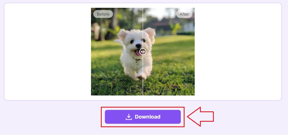 Clicking the Download Button