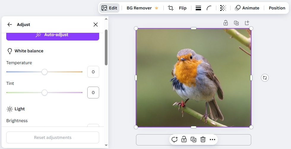 Using the Edit Option