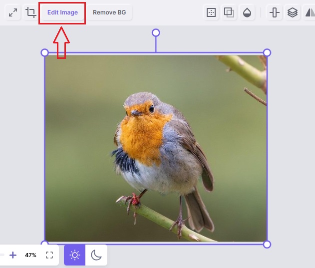 Clicking the Edit Image Option