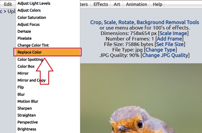 Clicking the Replace Color