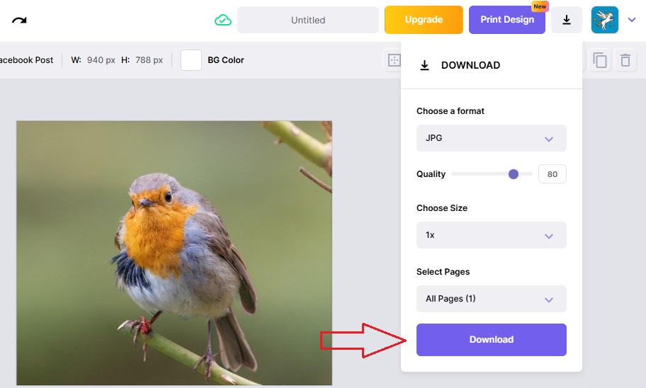 Downloading the Image