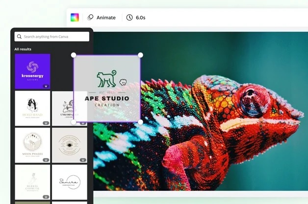 Canva Designing Tool