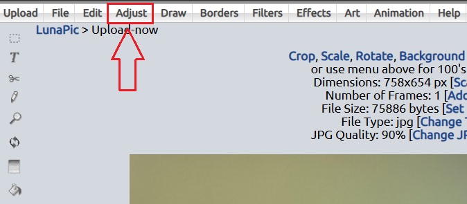 Clicking the Adjust Option