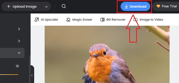 Downloading the Image