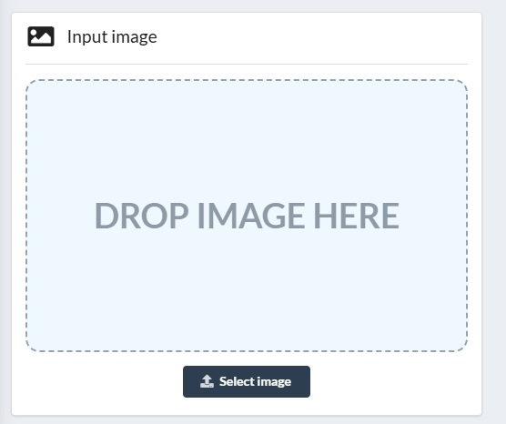 Uploading the Image