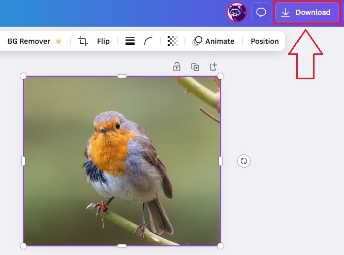 Downloading the Image