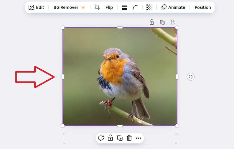 Clicking the Image