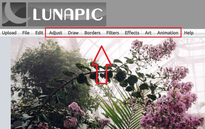 Lunapic Multiple Editing Features