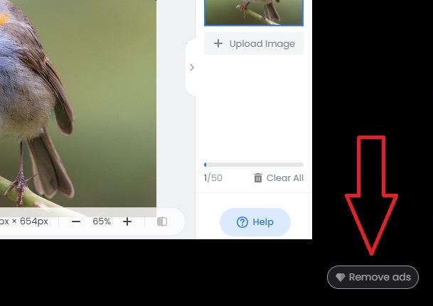Fotor Upsell Popups