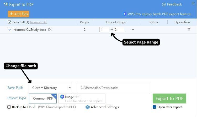Opzioni di esportazione in PDF