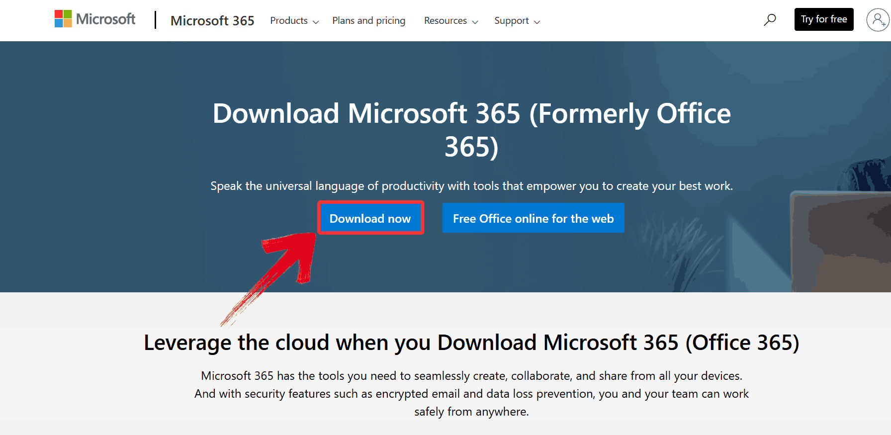 Download Microsoft 365