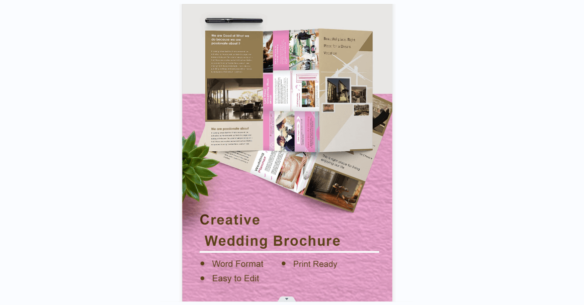 Creative Pink Wedding Brochure
