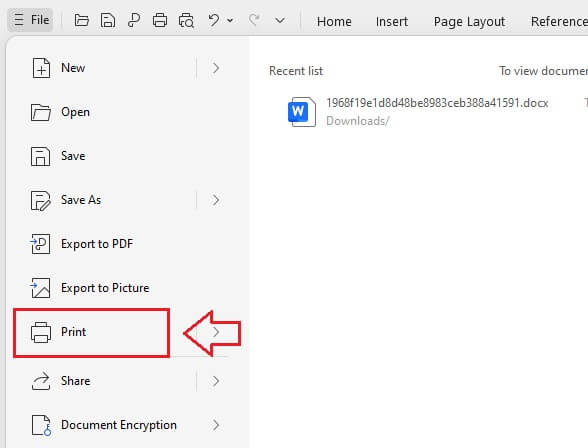 Printing the Document