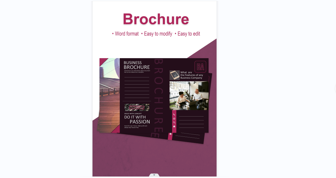 Simple Professional Business Brochure